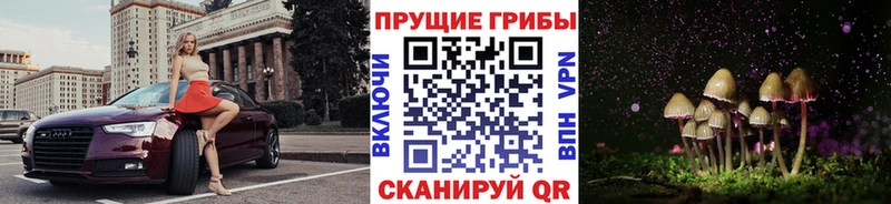 Псилоцибиновые грибы MAGIC MUSHROOMS  купить закладку  Якутск 